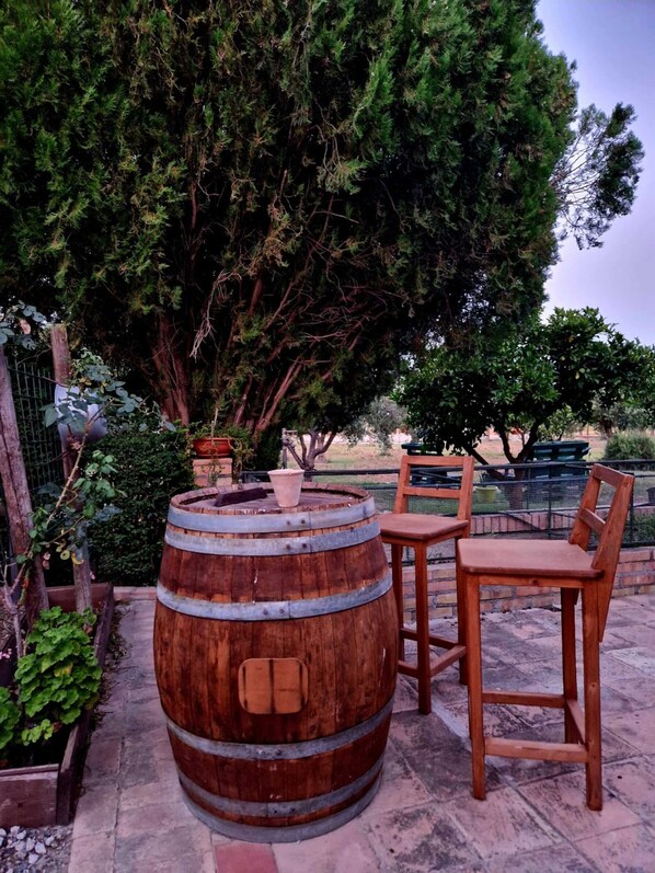 Terraza o patio