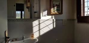 Regadera, secadora de cabello, toallas 