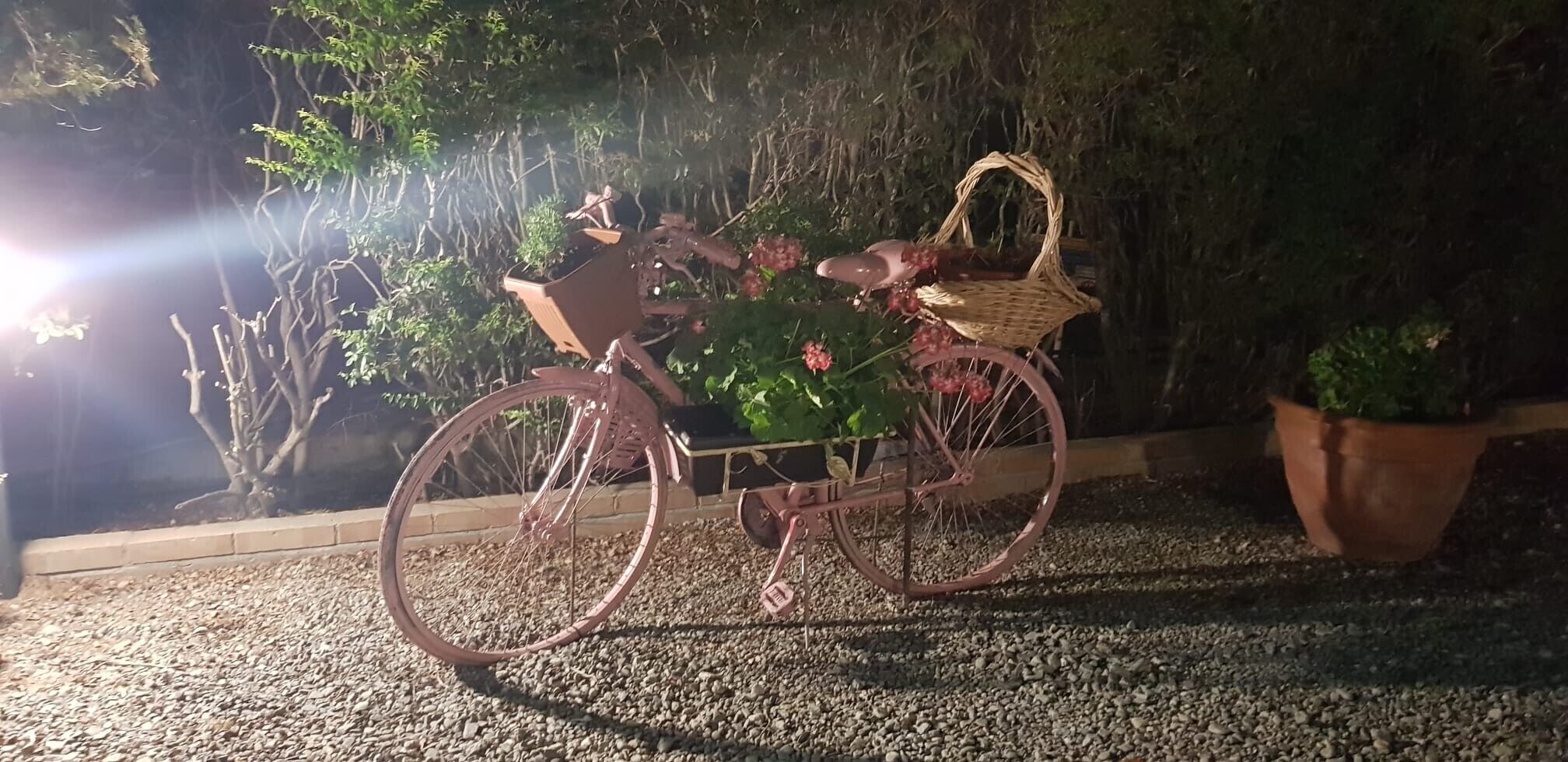 Un vélo avec un panier et une plante en pot.