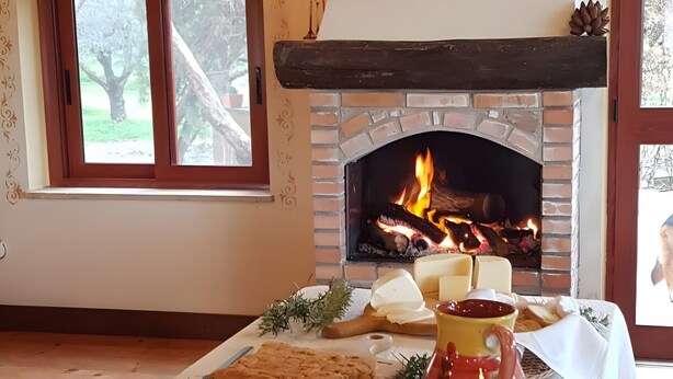 Une pièce avec une cheminée, une table garnie de nourriture et une fenêtre donnant sur des arbres.