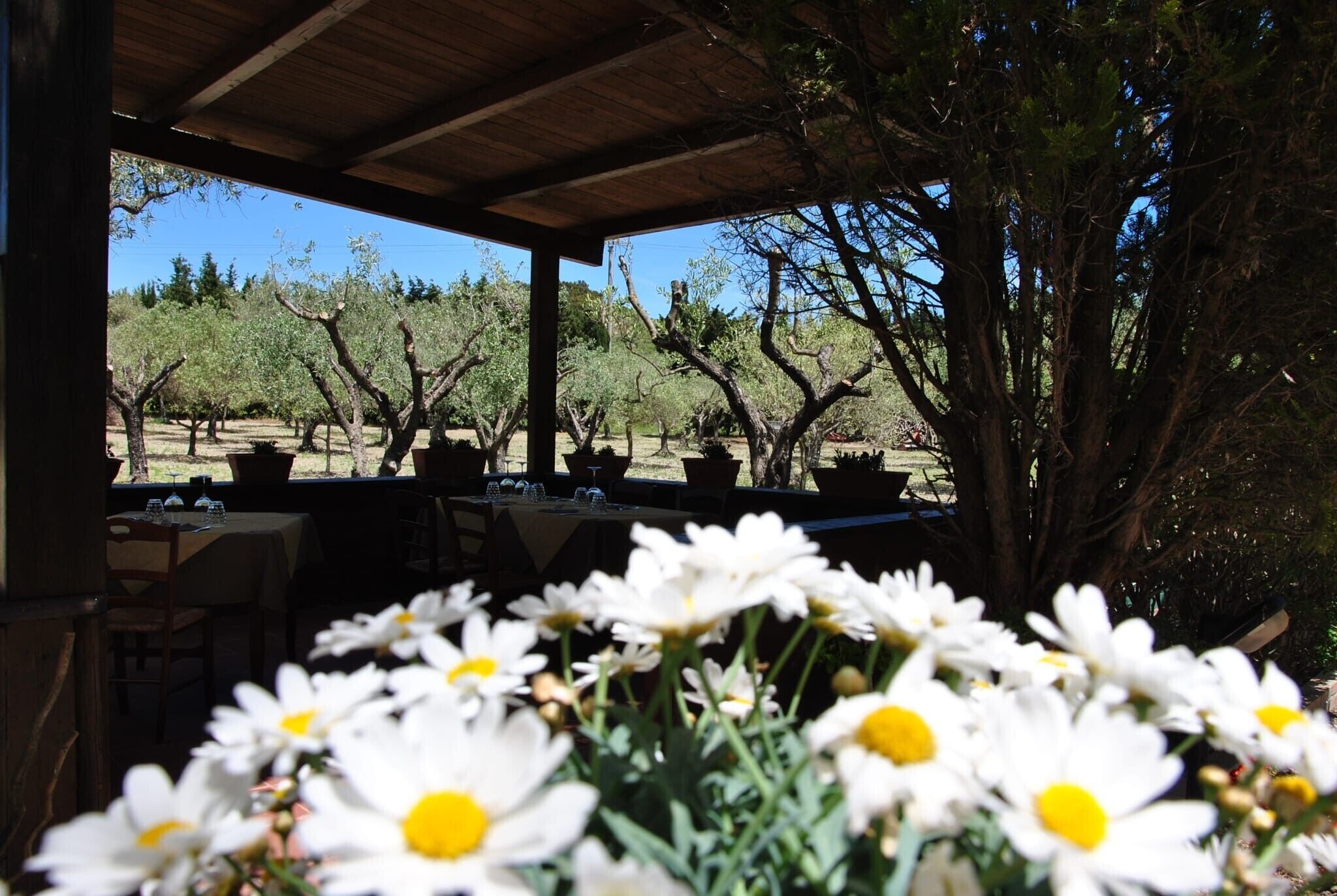 屋外ダイニングエリア