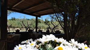 Un espace de restauration en plein air, avec des tables et des chaises, entouré d’arbres et sous un ciel dégagé.