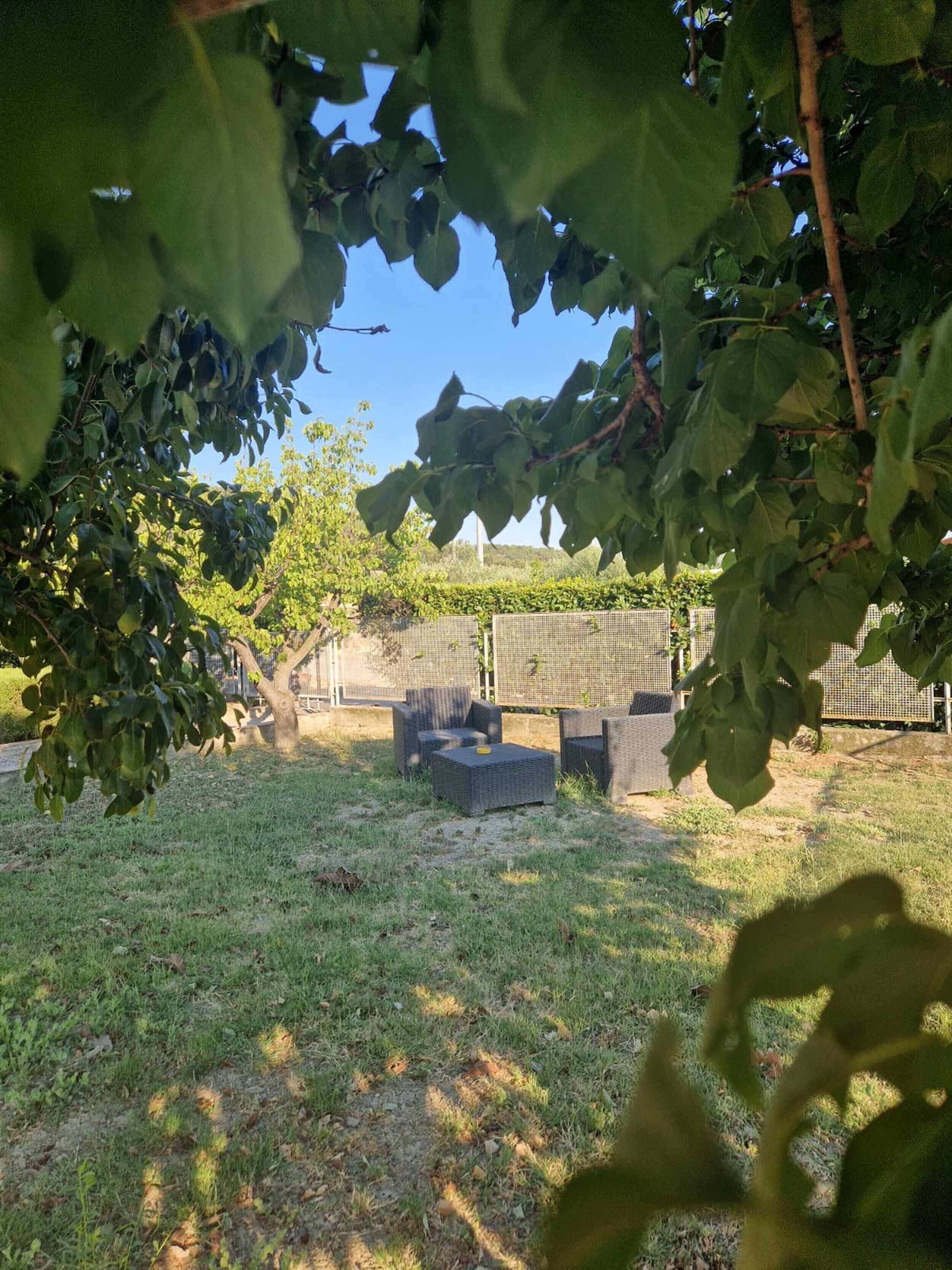 Parco della struttura