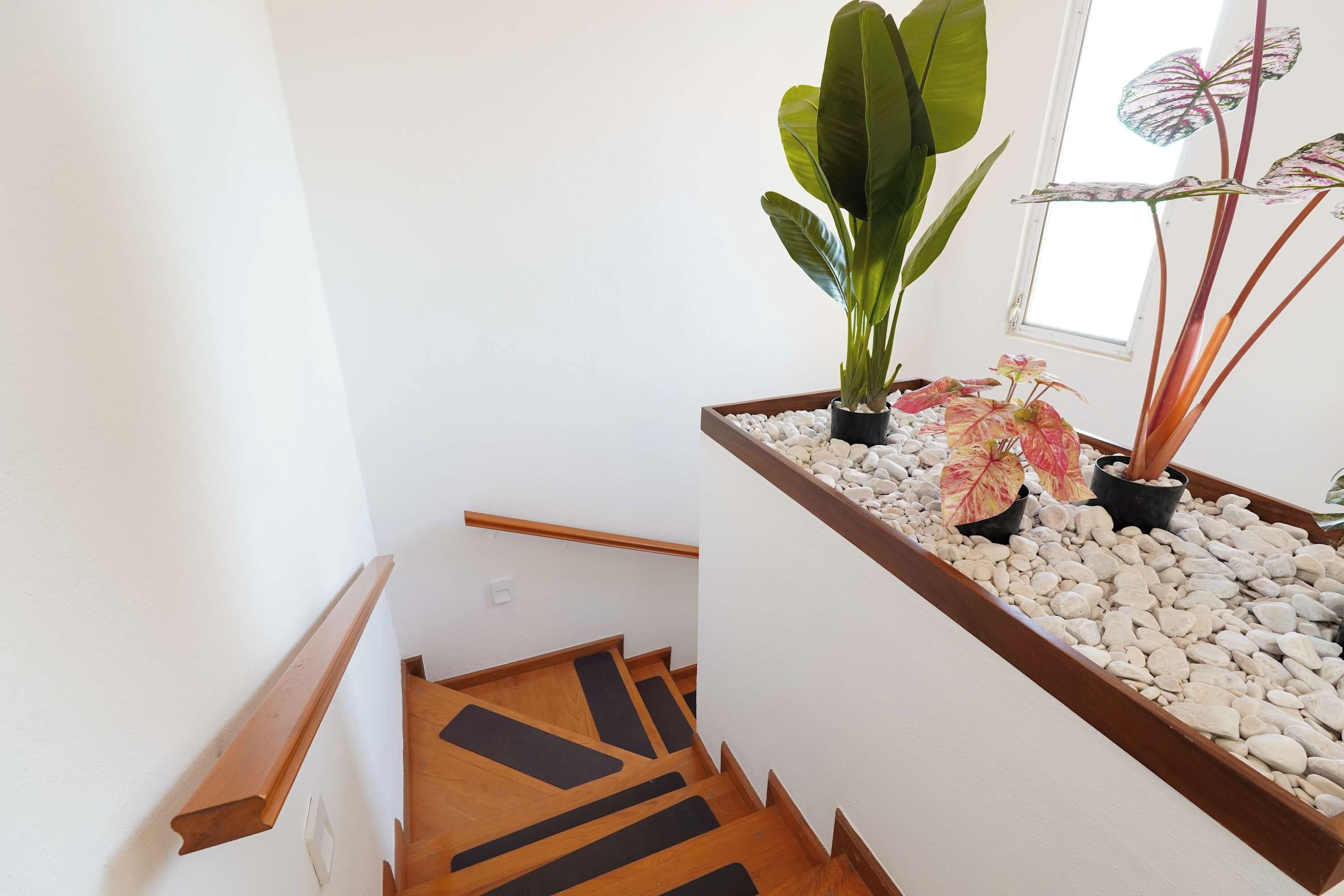 Una escalera con escalones de madera y una pared blanca. Hay plantas en macetas en la barandilla y una ventana con vistas.