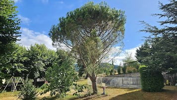 Kamar Double, pemandangan kolam renang | Wi-Fi gratis