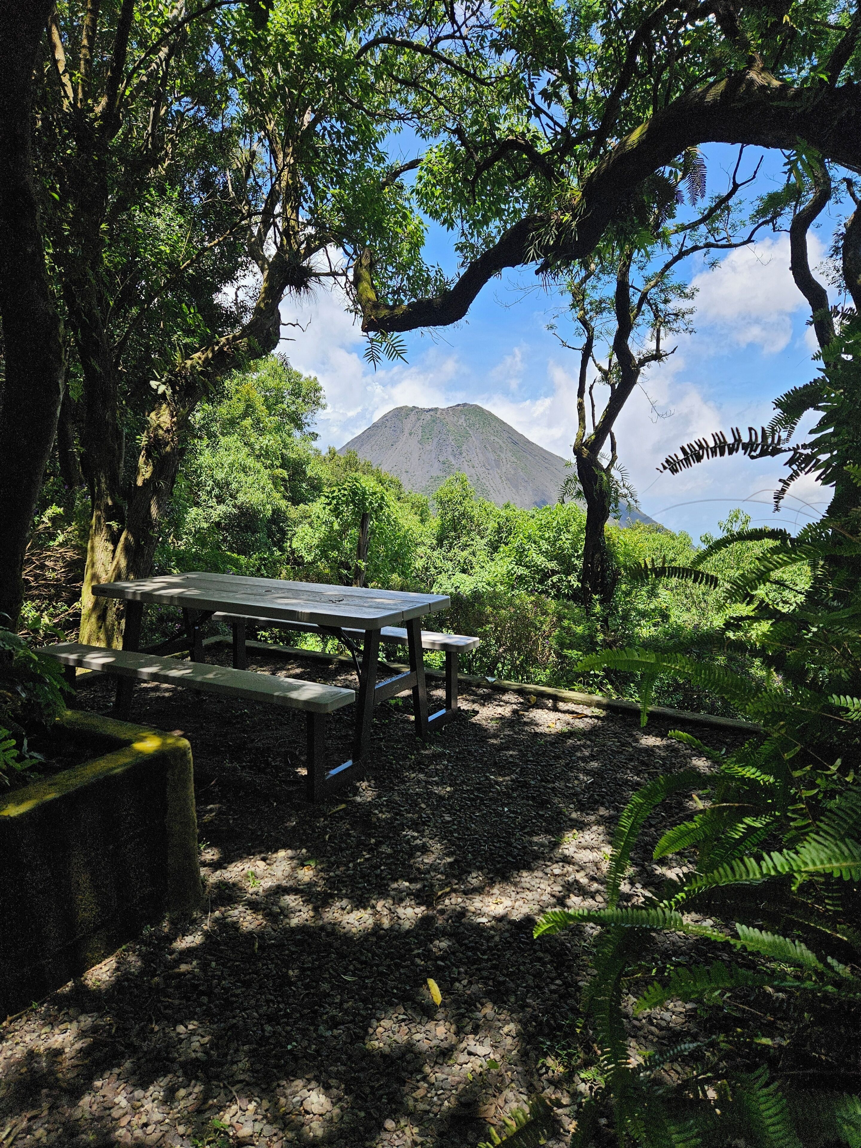 A picnic table surrounded by dense foliage and a mountain in the background.