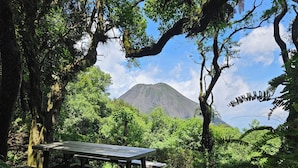 A picnic table surrounded by dense foliage and a mountain in the background.