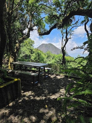 Una mesa de picnic rodeada de follaje denso y una montaña al fondo.