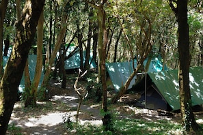 A forested campsite with multiple tents and a dirt path. - Tres Volcanes (Santa Ana)