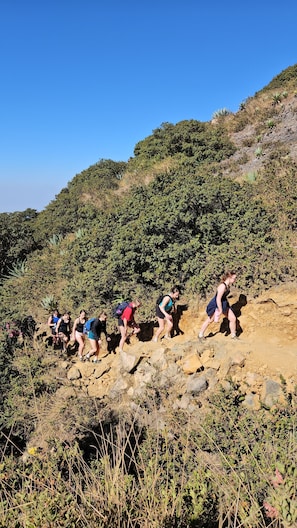Un grupo de personas caminando por un sendero pedregoso rodeado de vegetación densa.