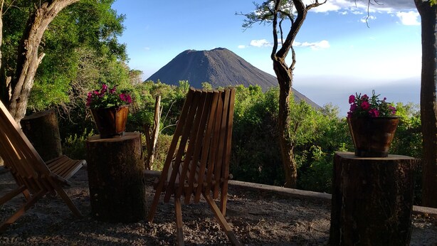 A wooden chair and a wooden easel in a garden with potted plants, overlooking a mountain.