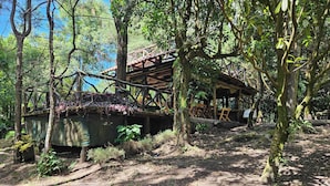 A rustic wooden structure surrounded by dense forest.