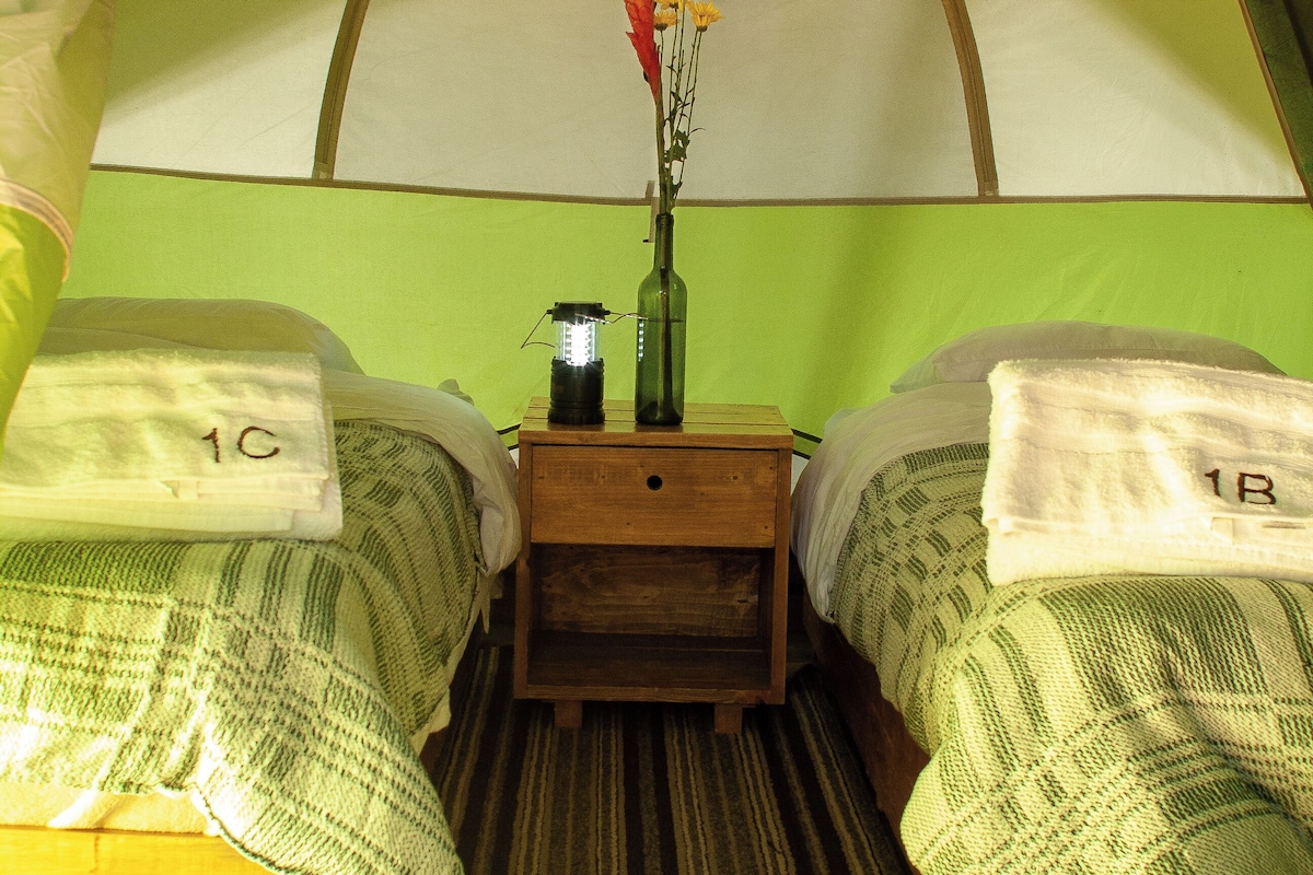 Comfort Double Room, Mountain View