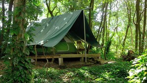 A tent set up in a forested area with a wooden platform and a green tarp roof.