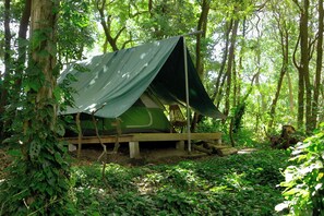 A tent set up in a forested area with a wooden platform and a green tarp roof.