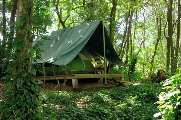 A tent set up in a forested area with a wooden platform and a green tarp roof.