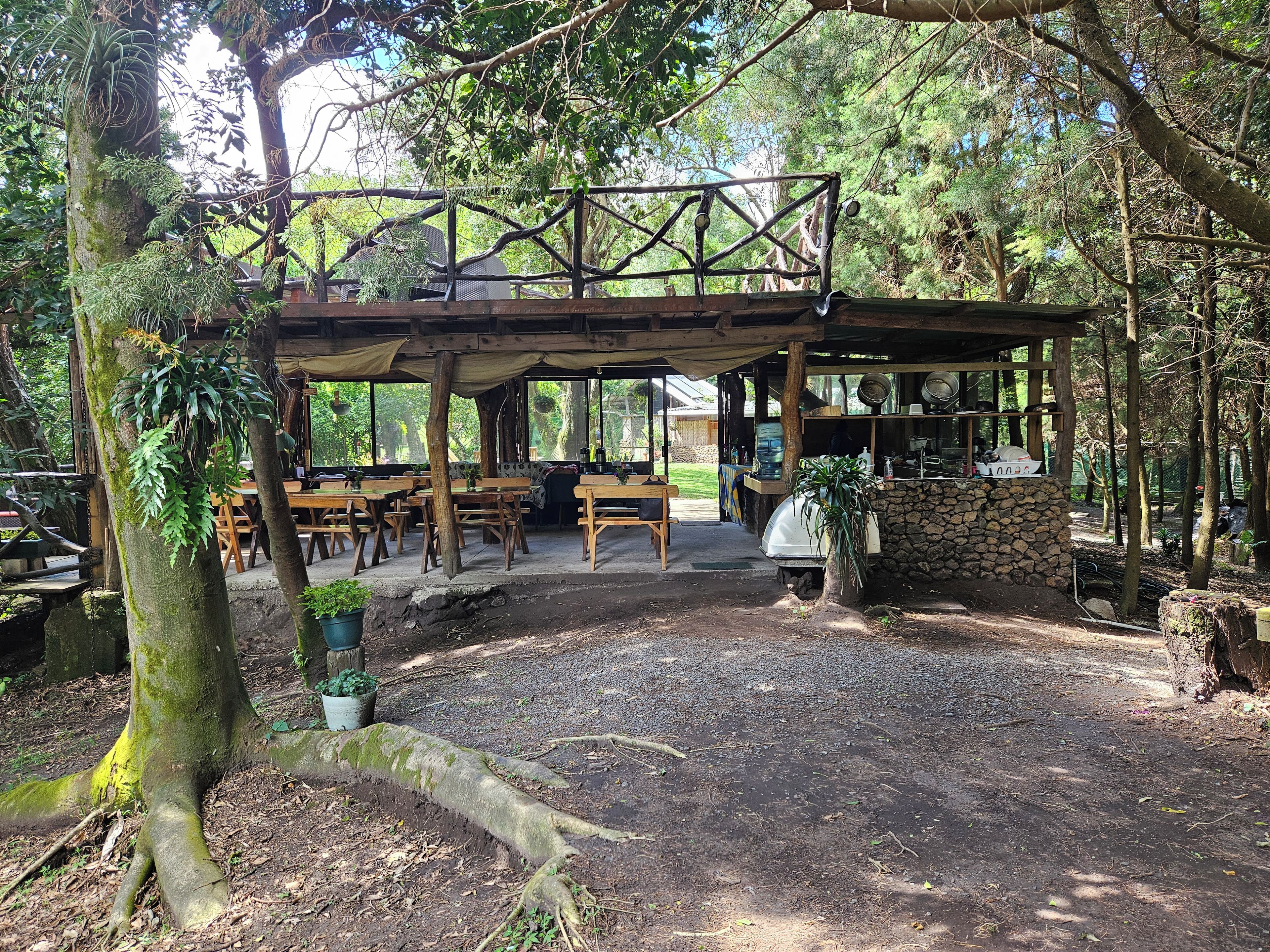An outdoor wooden structure with tables and benches, surrounded by trees.