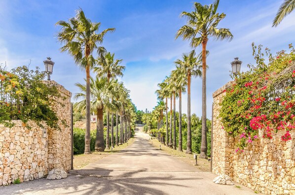 A pathway flanked by stone walls and palm trees leading to a building.