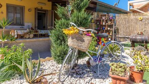 A bicycle with a basket and a wicker seat, surrounded by potted plants and a wooden fence. - 'Eco Del Mare' with veranda just steps from the sea (Pachino)