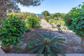 A garden pathway leading to a beach, with various plants and a palm tree. - 'Sea View' just steps from the sea (Pachino)
