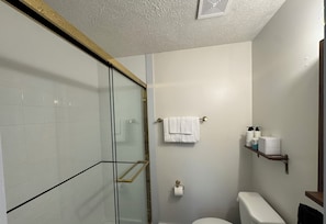 Sèche-cheveux, serviettes fournies, savon, papier toilette