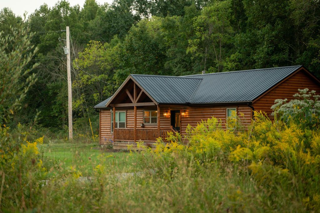 A log cabin with a porch and a metal roof, surrounded by dense forest and wildflowers.