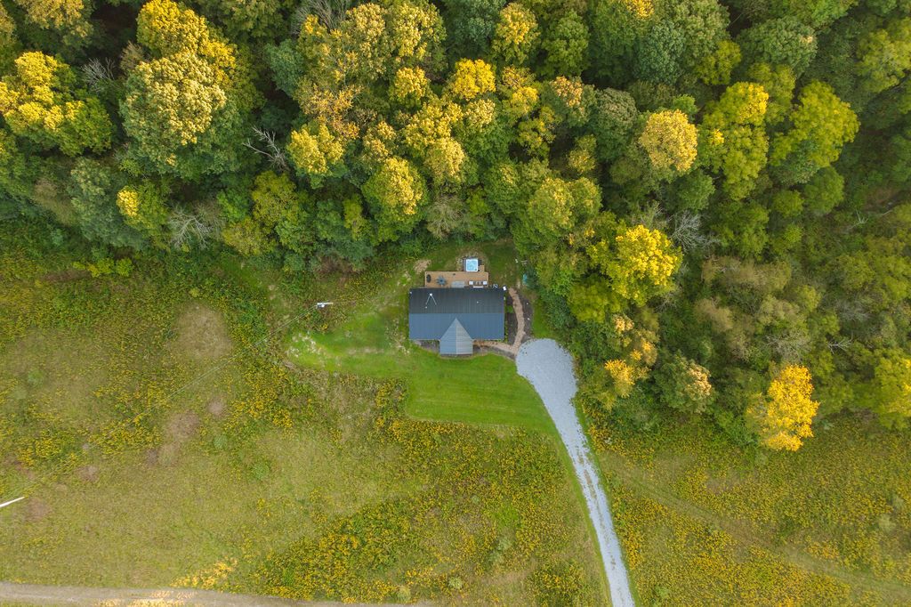 An aerial view of a property with a central building surrounded by dense greenery and a clear path leading to it.
