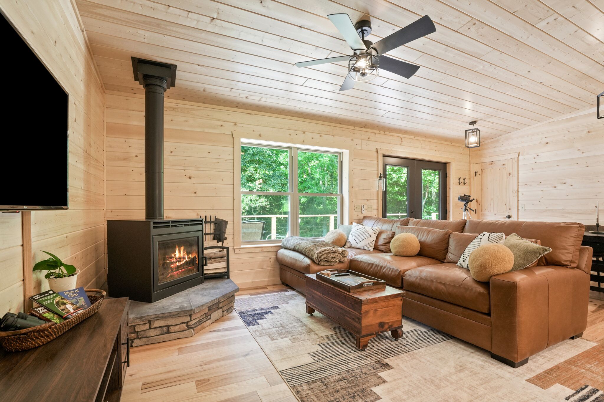 T élévision, cheminée, lecteur de DVD, livres