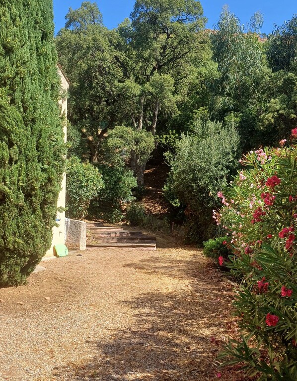 Property grounds - Family villa in wooded estate near the sea (Saint-Raphaël)