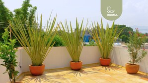A rooftop terrace with four potted plants, a tiled floor, and a view of buildings in the background. - Style & Comfort  A/C Loft + Terrace + Pets (Oaxaca de Juárez)