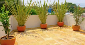 A rooftop terrace with four potted plants, a tiled floor, and a view of buildings in the background.