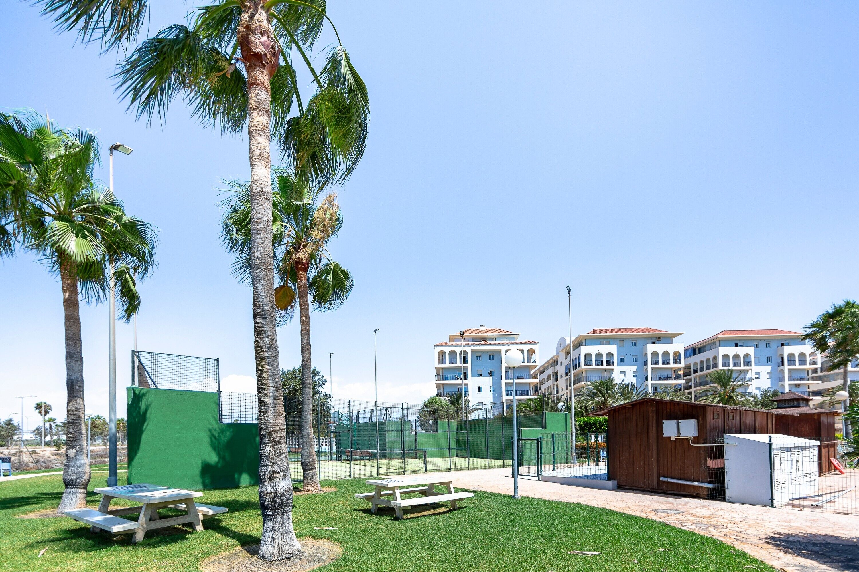 Un patio con palmeras, una cancha de tenis y un edificio con balcones al fondo.