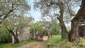 Un sendero de grava que conduce a un portón de madera, rodeado de árboles y un muro de piedra.