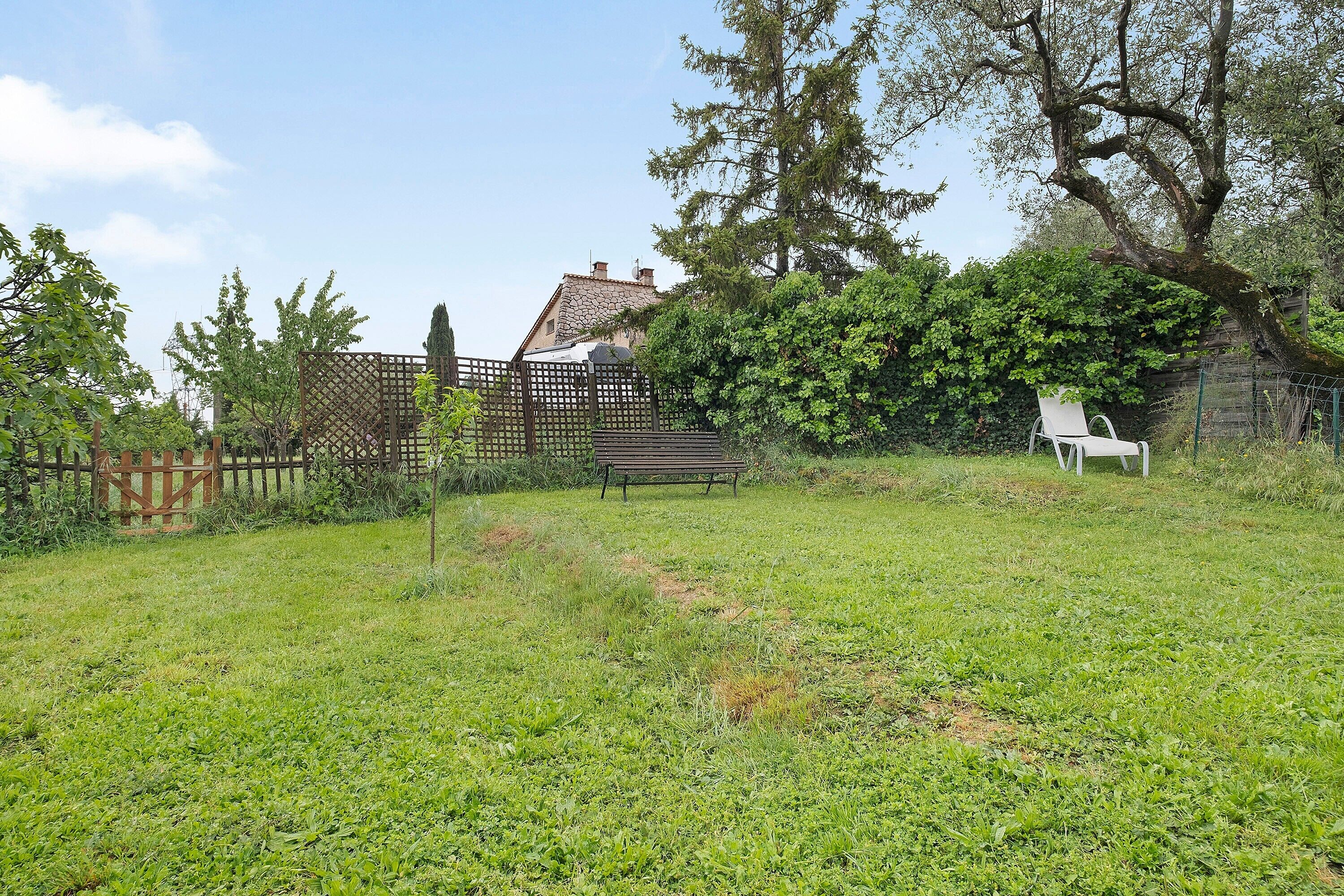 Un'area verde all'aperto con una recinzione in legno, una panchina e un albero.