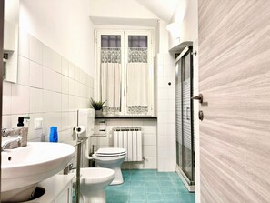 Regadera, secadora de cabello, bidet, toallas 