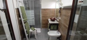 Shower, hair dryer, bidet, towels