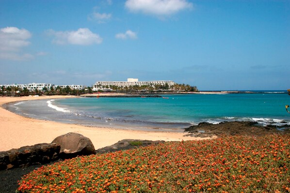 Plage à proximité