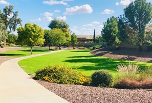 Property grounds - Sunny Surprise Retreat for
Relaxing and Recharging. (Surprise)