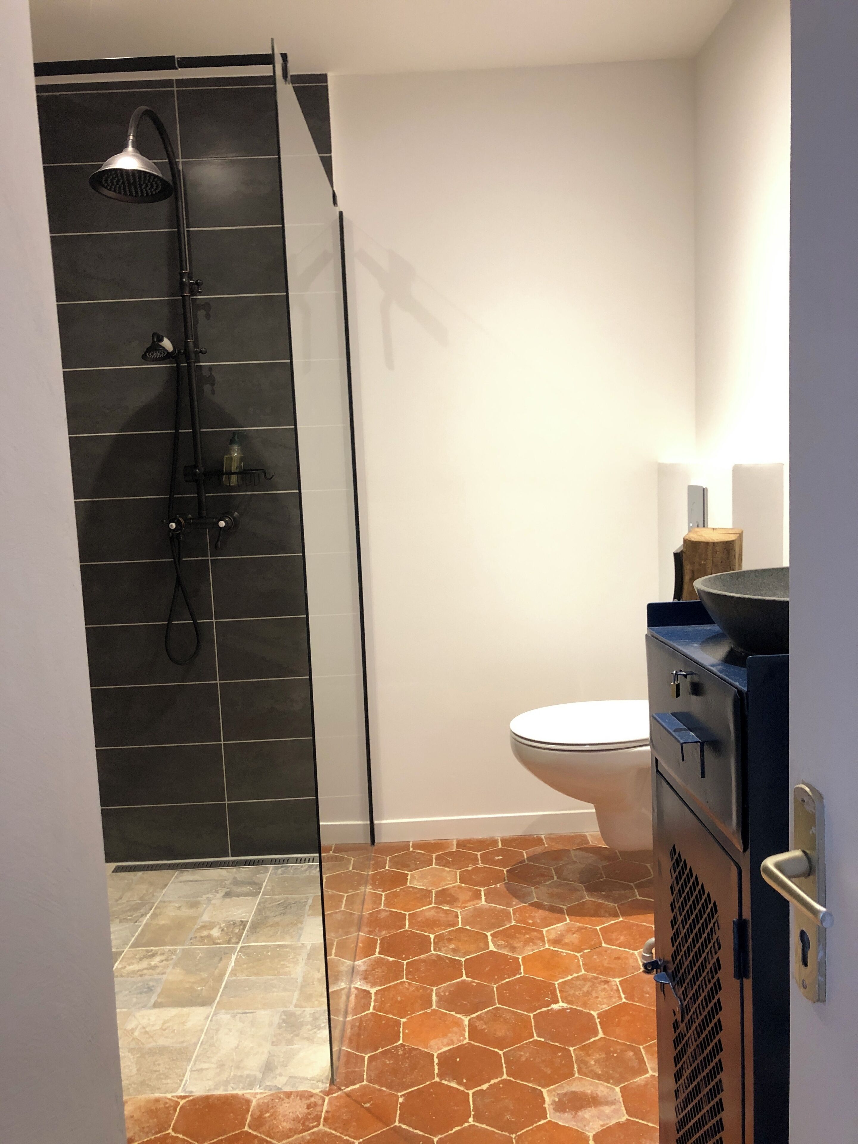 Een badkamer met een douche, toilet en wastafel.