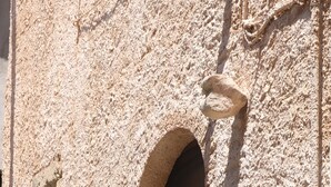A building facade with a textured stone wall, a wooden door, and a small window with a light fixture. - Cozy and elegant B&B in the historic center of Belmonte. (Belmonte Calabro)