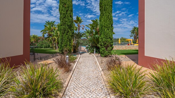 A pathway leading to a building with tall cypress trees and a clear blue sky.