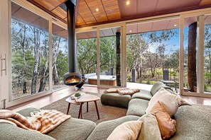 TV, fireplace, DVD player