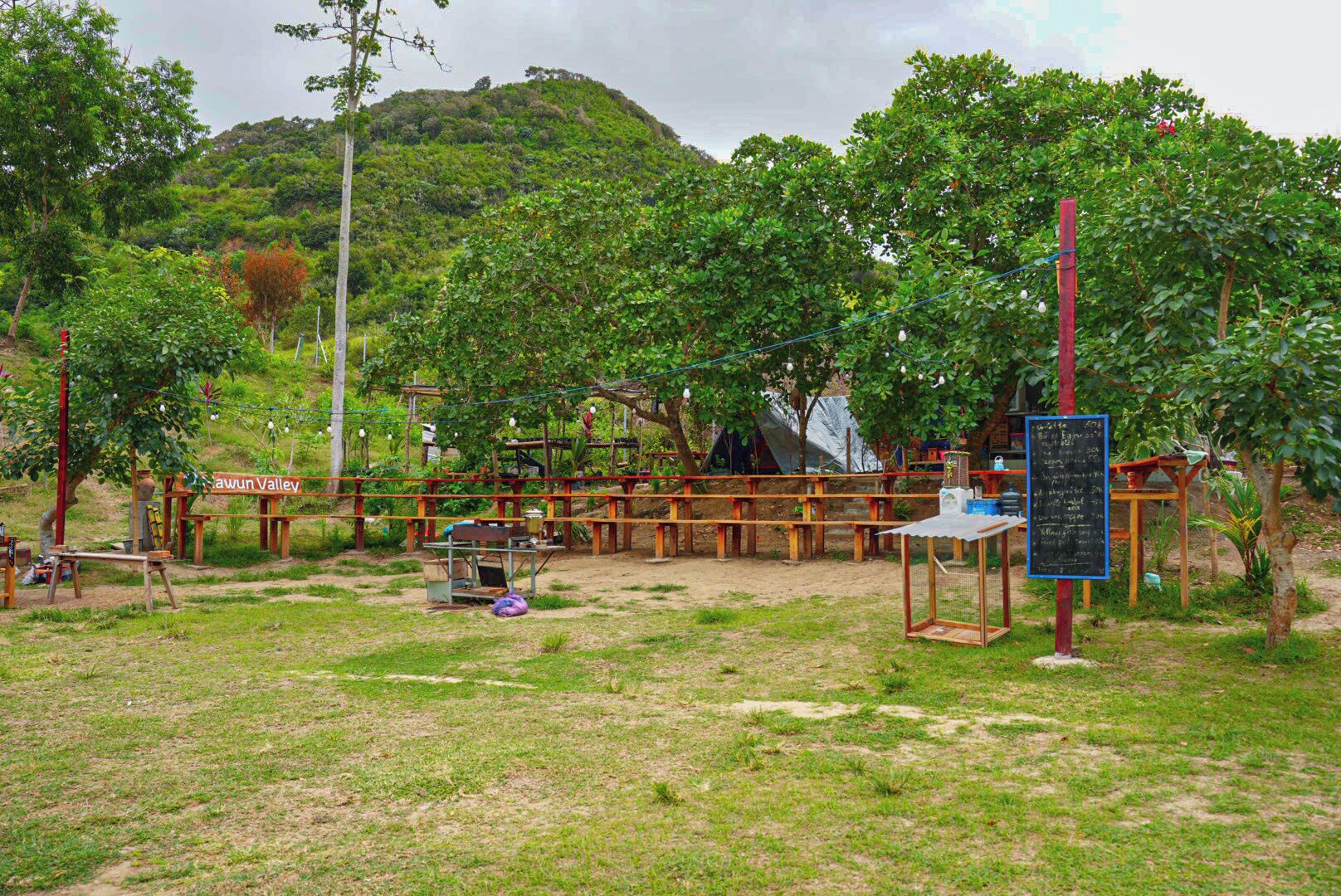 Outdoor wedding area