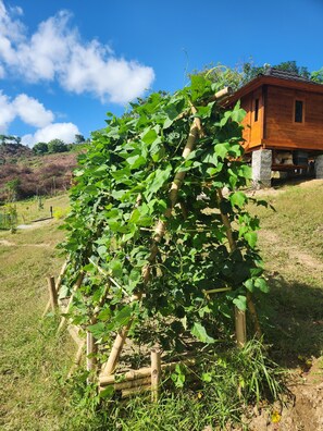Jardín