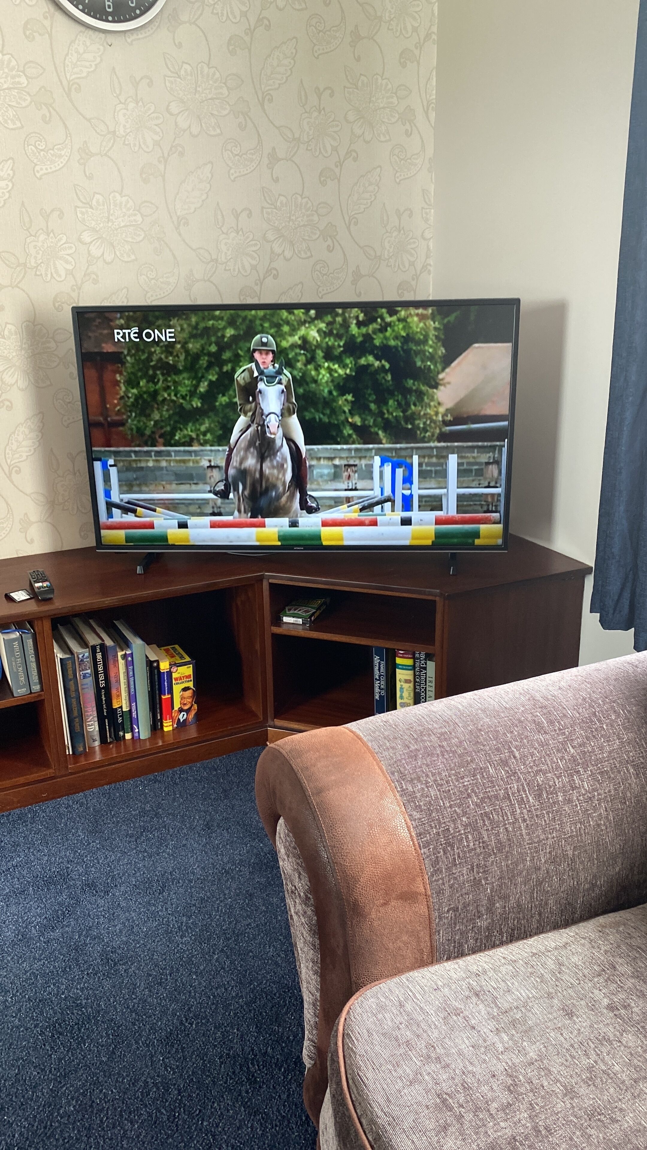 Ein Fernseher zeigt ein Pferderennen, ein Bücherregal mit Büchern und ein braunes Sofa.