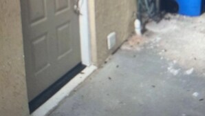 A garage with a closed door, a blue trash bin, and a hose on the floor.