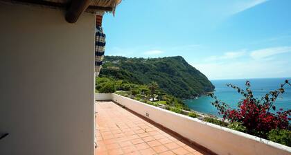 Villa La Pigrizia - One Bedroom Villa, Sleeps 2