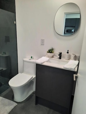 Hair dryer, towels, soap, toilet paper
