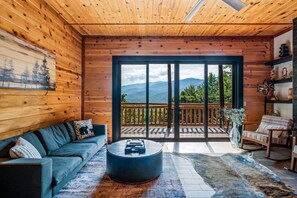 Télévision, cheminée, jeux vidéo, livres