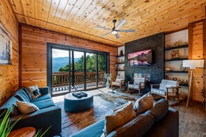 Télévision, cheminée, jeux vidéo, livres